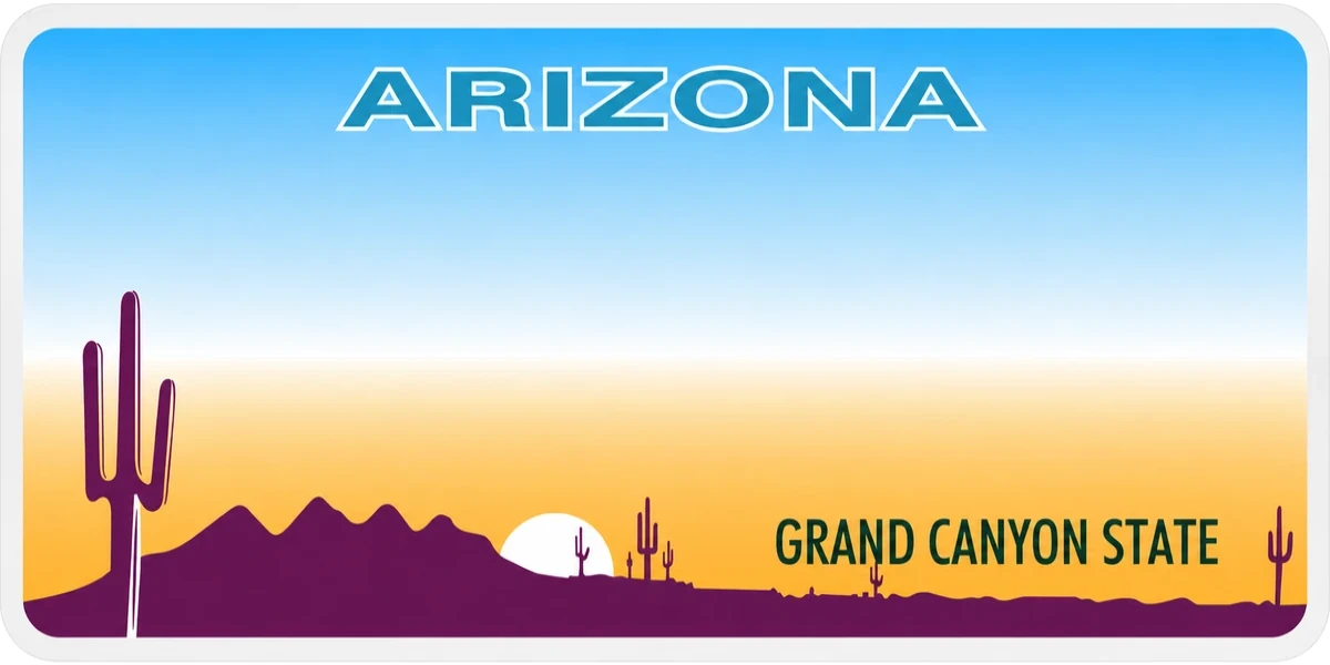 Arizona license plate visualization