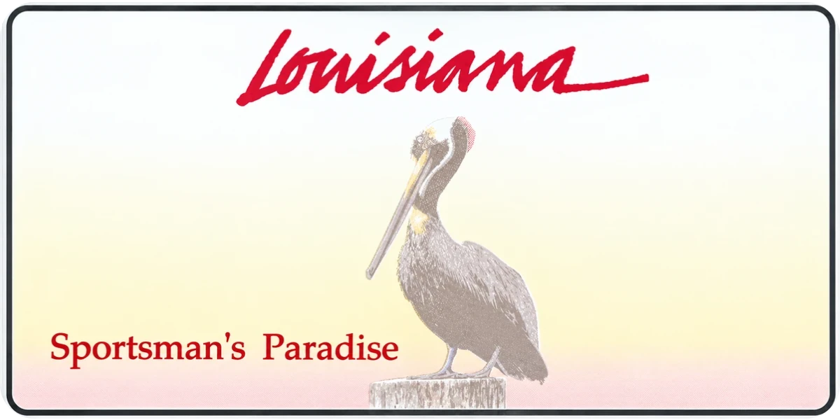 Louisiana license plate visualization