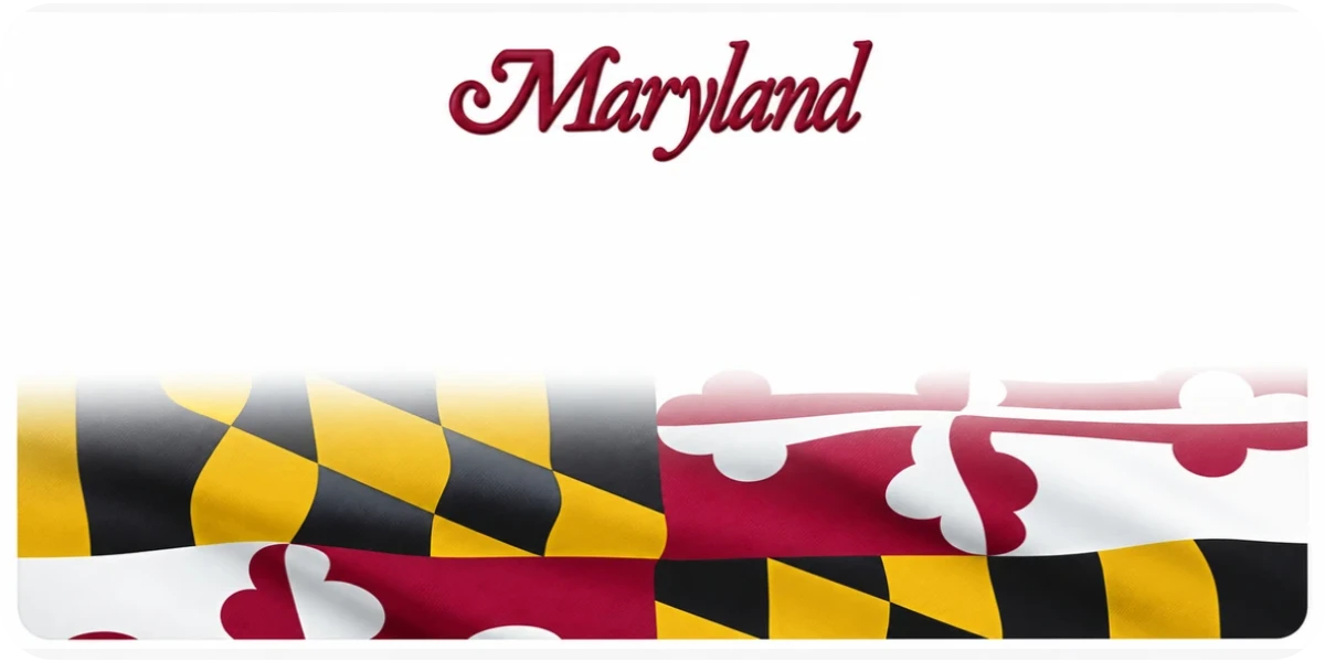 Maryland license plate visualization