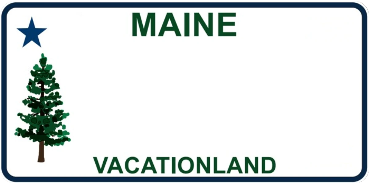 Maine license plate visualization