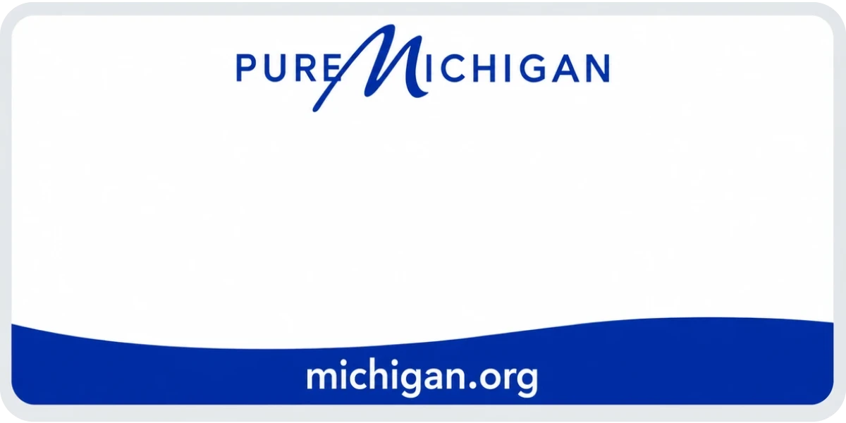 Michigan license plate visualization