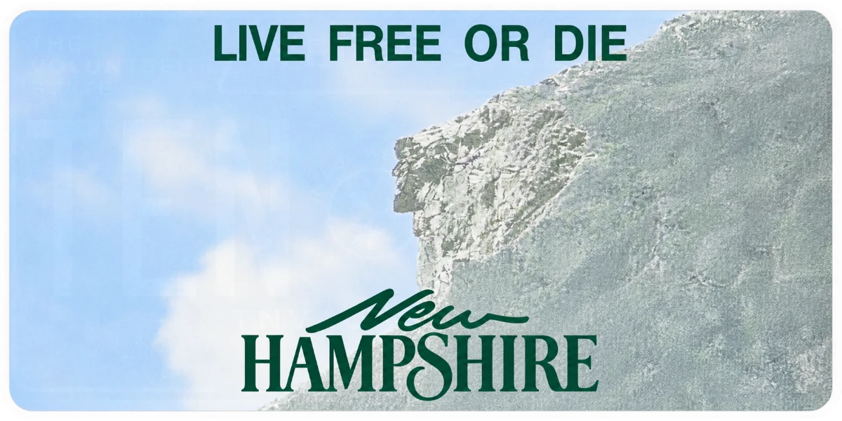 New Hampshire license plate visualization