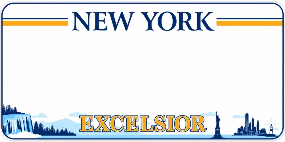 New York license plate visualization