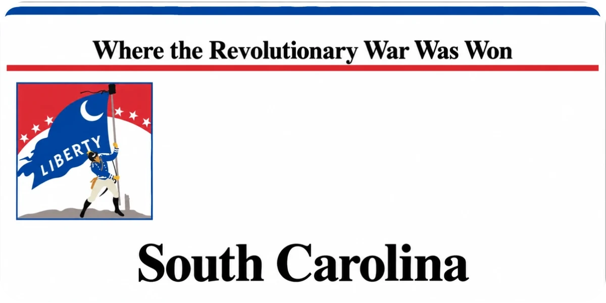 South Carolina license plate visualization