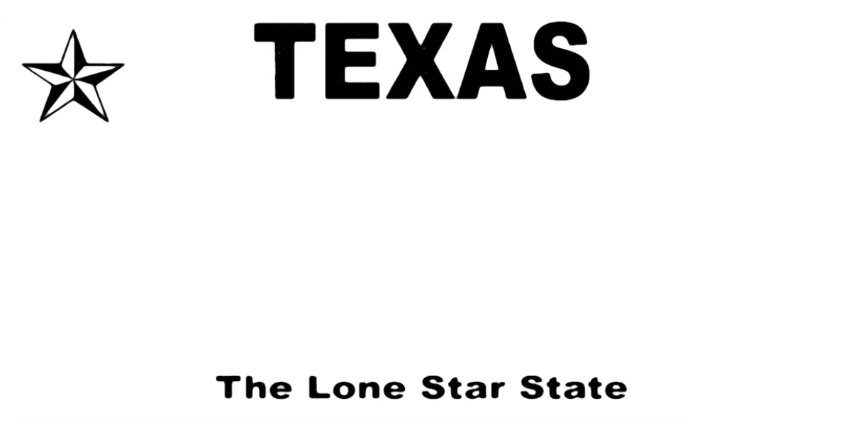 Texas license plate visualization