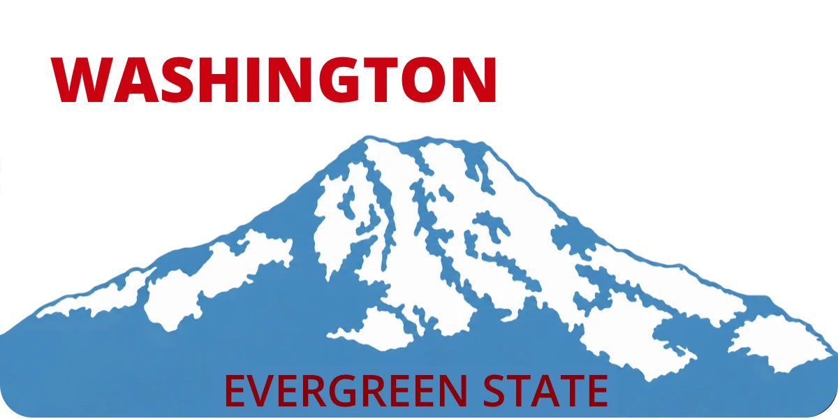 Washington license plate visualization