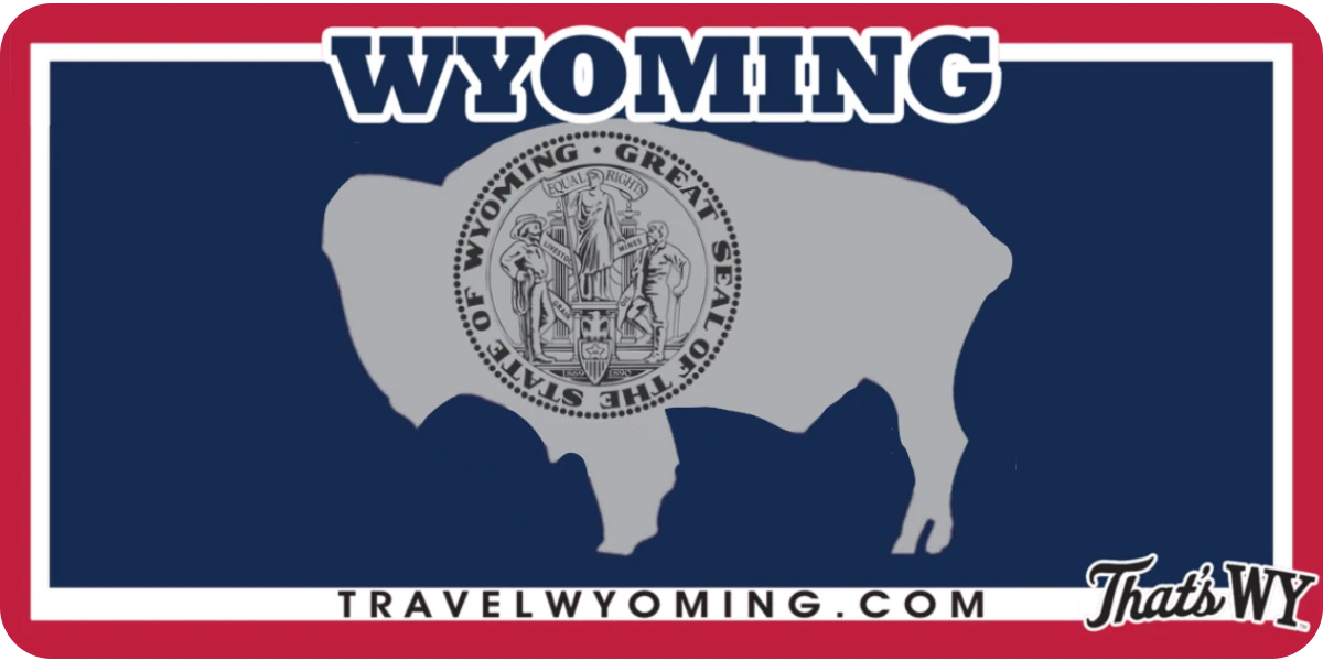 Wyoming license plate visualization