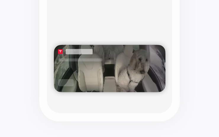 Tesla Dog Mode Live Activity on iOS feature in update 2025.45.10