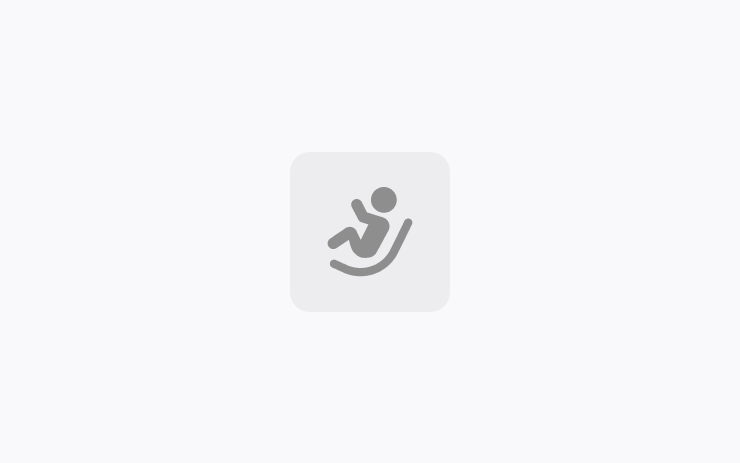 Tesla Second Row Child Safety Seats feature in update 2026.20.10