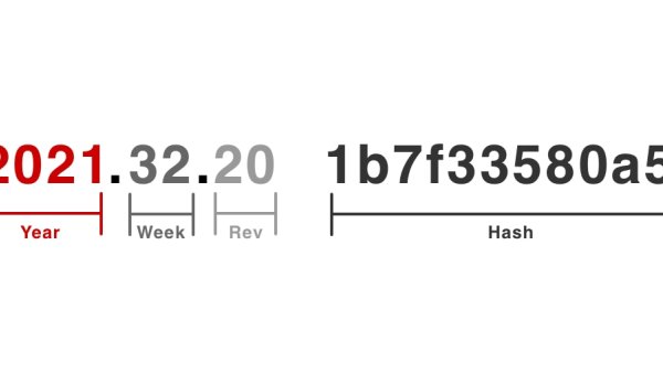 What do Tesla software version numbers mean?
