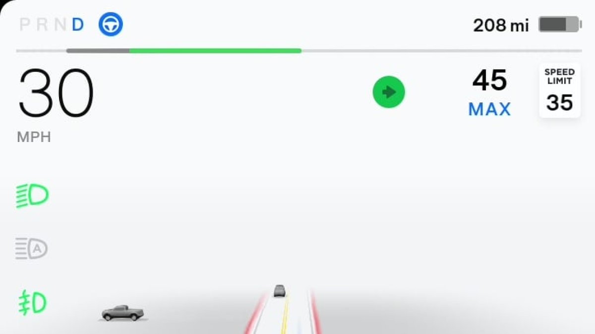 Tesla's power meter, also known as the regen bar or line