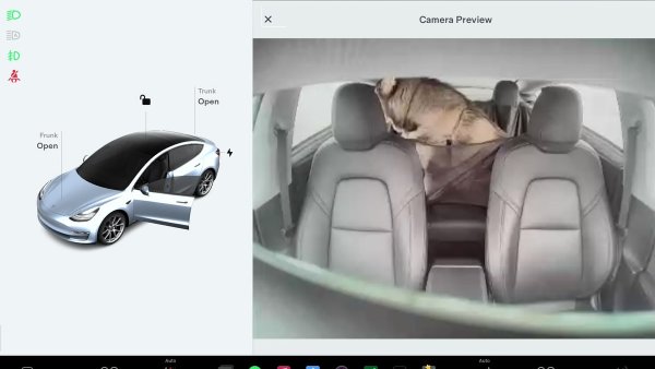 New Tesla Update Allows You to Preview the Cabin Camera Feed