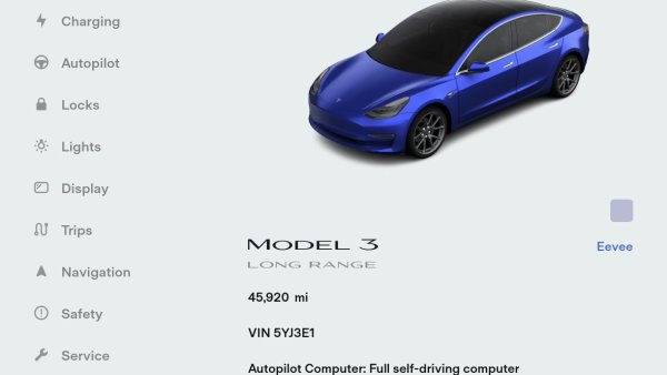 How to Name Your Tesla and the Most Popular Tesla Names