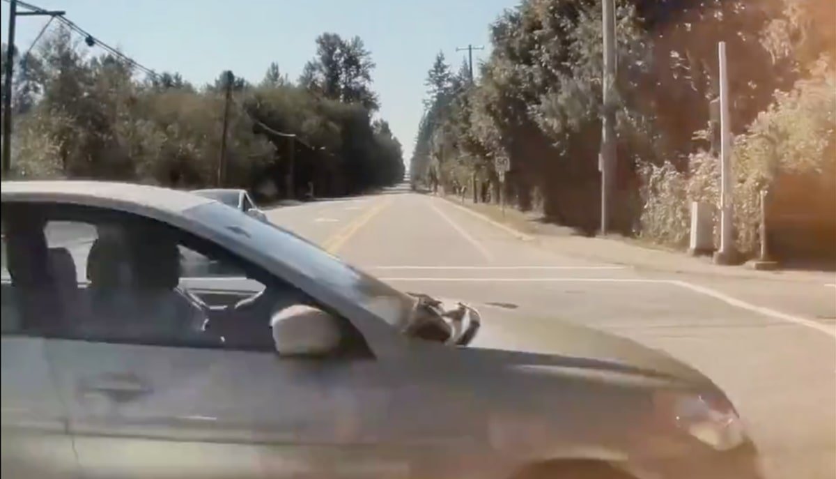 Tesla's FSD and AEB prevent a possibly deadly accident