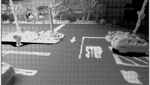 Tesla Reveals the Future of FSD Visualizations Through Patent