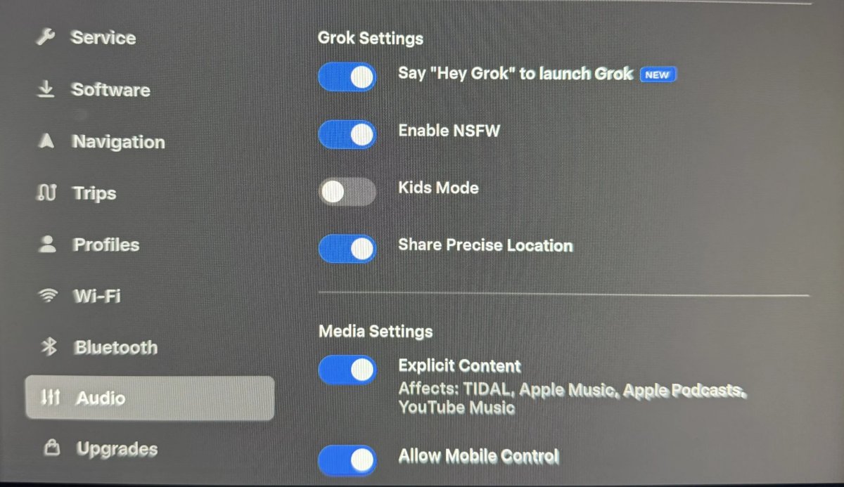 Tesla Grok Settings feature in update 2026.14.6.10