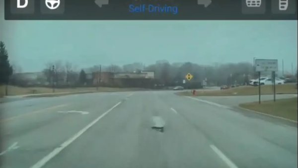 Watch: Tesla Full Self-Driving Can Now Avoid Pot Holes [VIDEO]