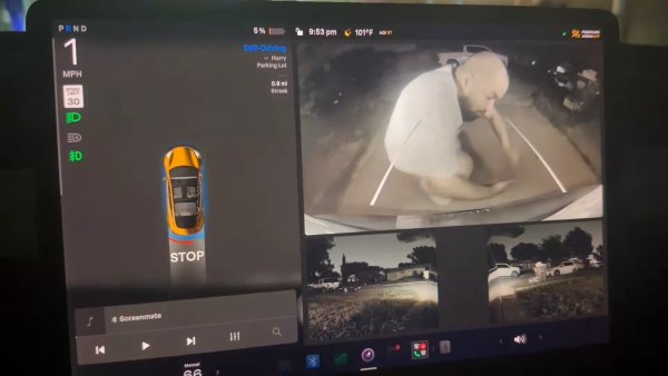 Tesla FSD v14 Lite Has Trouble Seeing Objects While Reversing [VIDEOS]