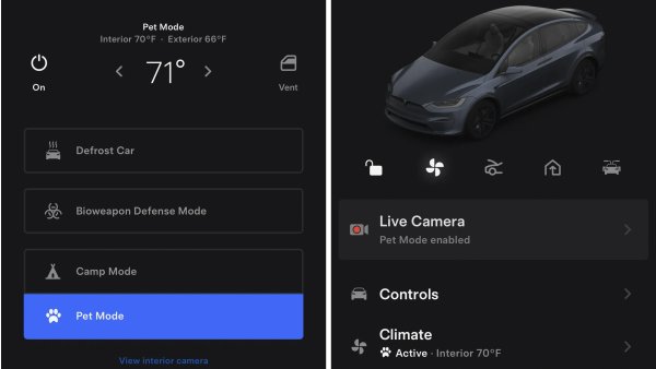 Tesla Rebrands Dog Mode to Pet Mode, Adds New Features