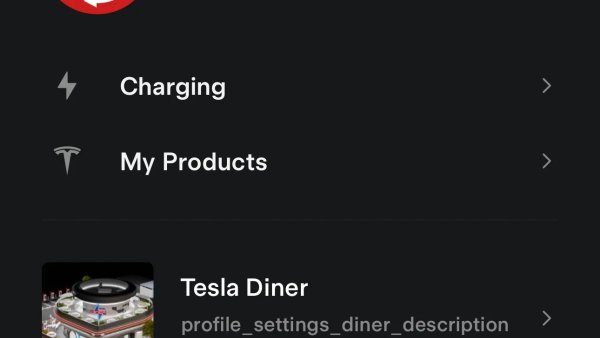 Tesla Drive-in Diner Details Found in Latest Tesla App Update