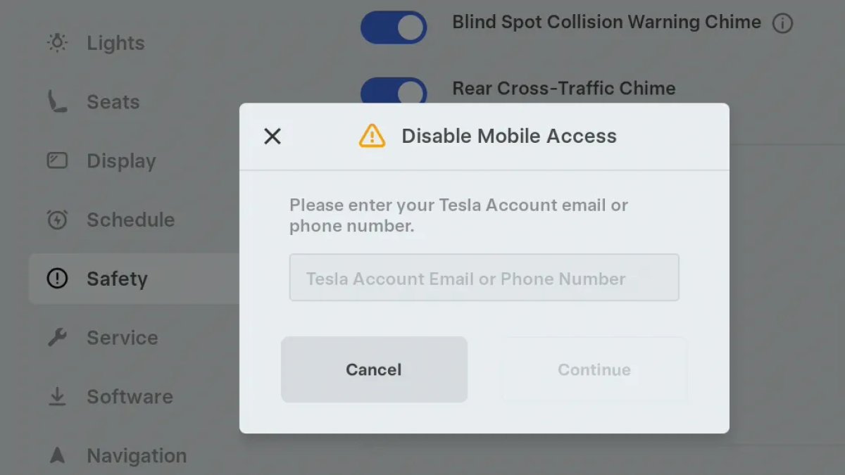 Tesla Mobile Access feature in update 2025.26