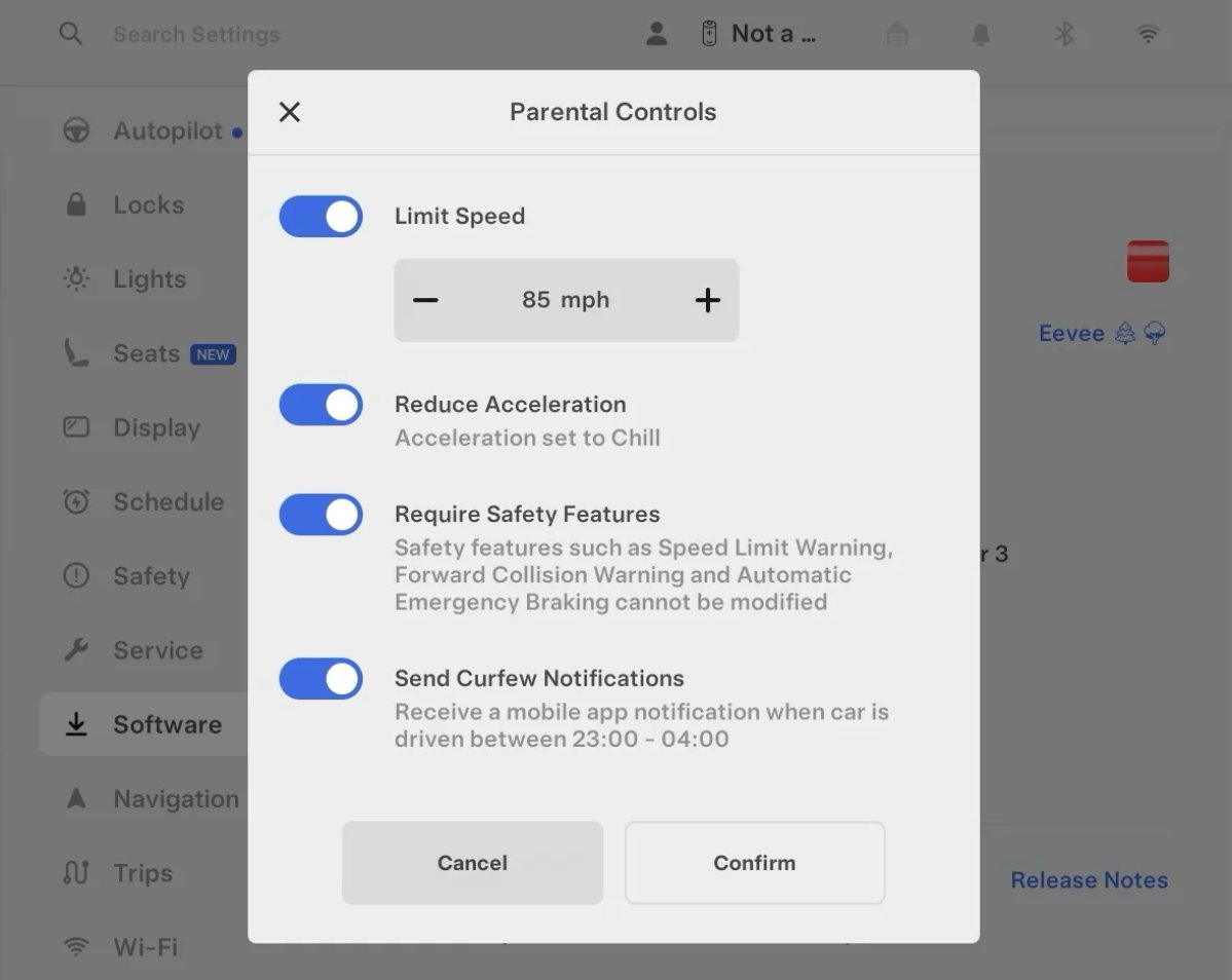 Tesla Parental Controls Improvement feature in update 2026.14.6.10
