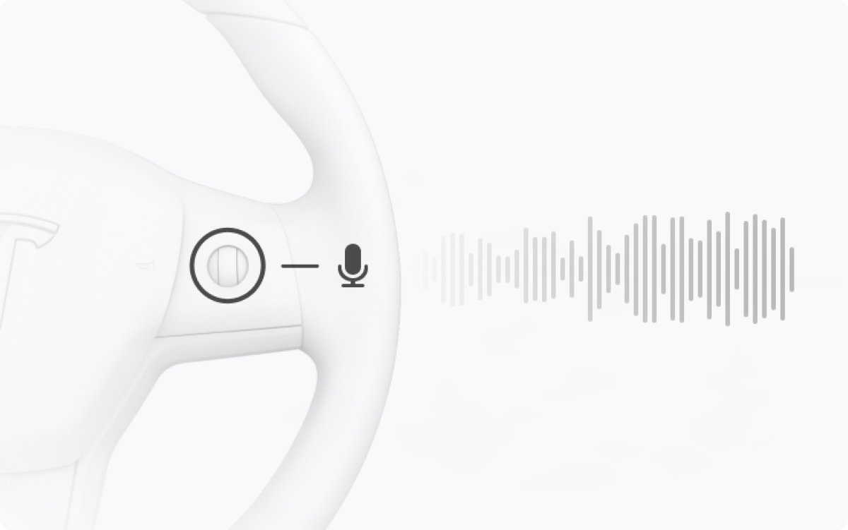 Tesla added 'Voice Recognition Language' in update 2023.12