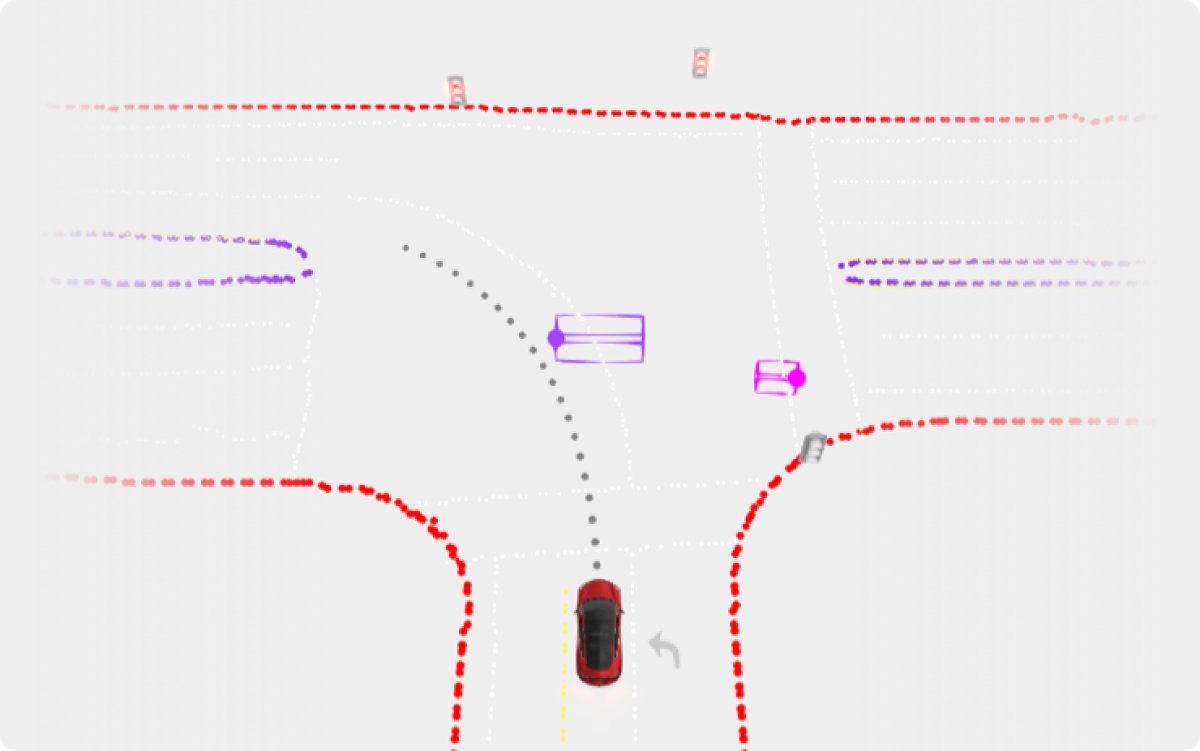 Tesla FSD